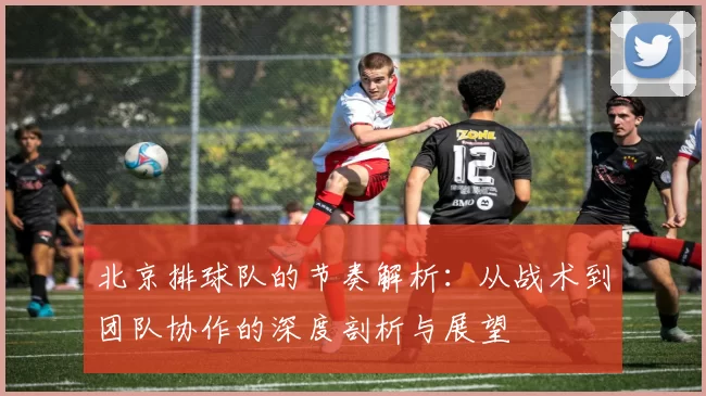 北京排球队的节奏解析：从战术到团队协作的深度剖析与展望