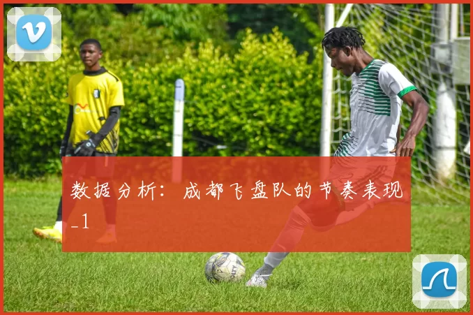 数据分析：成都飞盘队的节奏表现_1