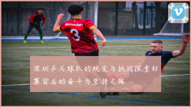 深圳乒乓球队的蜕变与挑战探索杯赛背后的奋斗与坚持之路