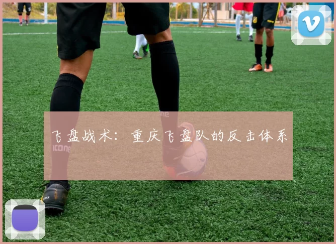 飞盘战术：重庆飞盘队的反击体系